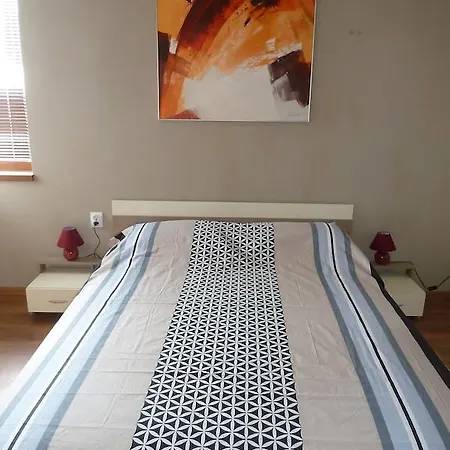 Summer Breeze 발치크